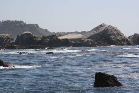 Point Lobos 1