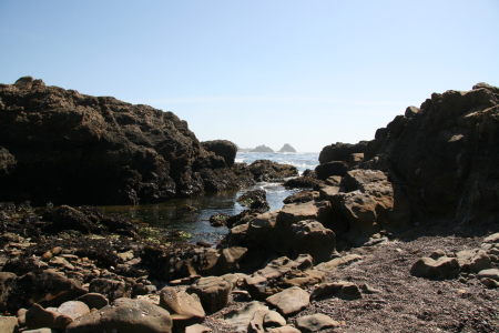 Point Lobos 3