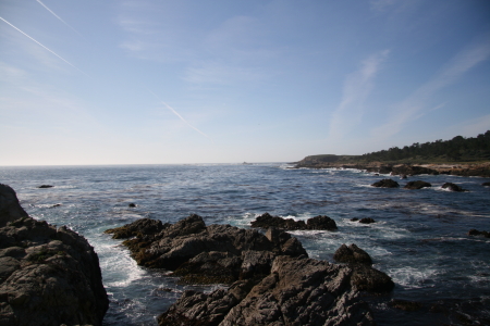 Point Lobos 6
