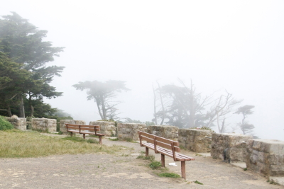 View of the mist from Sutro Heights